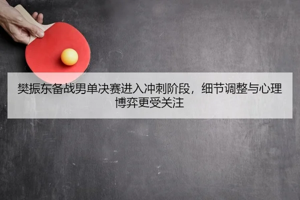 樊振东备战男单决赛进入冲刺阶段，细节调整与心理博弈更受关注 | Kering